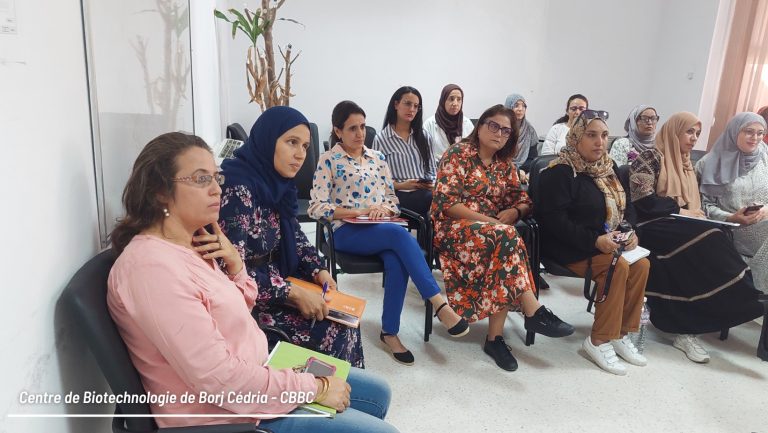 The Tunisian-South African-Algerian Workshop