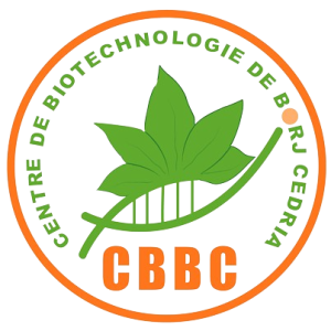 CBBC-Logo-removebg-preview