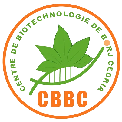 CBBC-Logo-removebg-preview