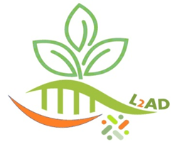 L2AD
