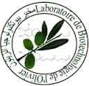LBO