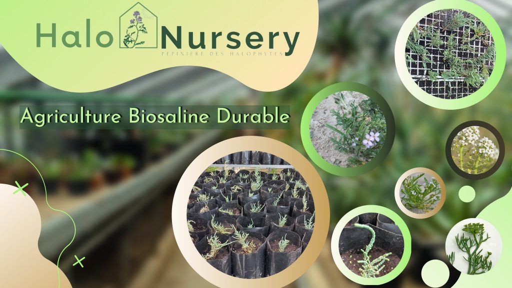 Halonursery