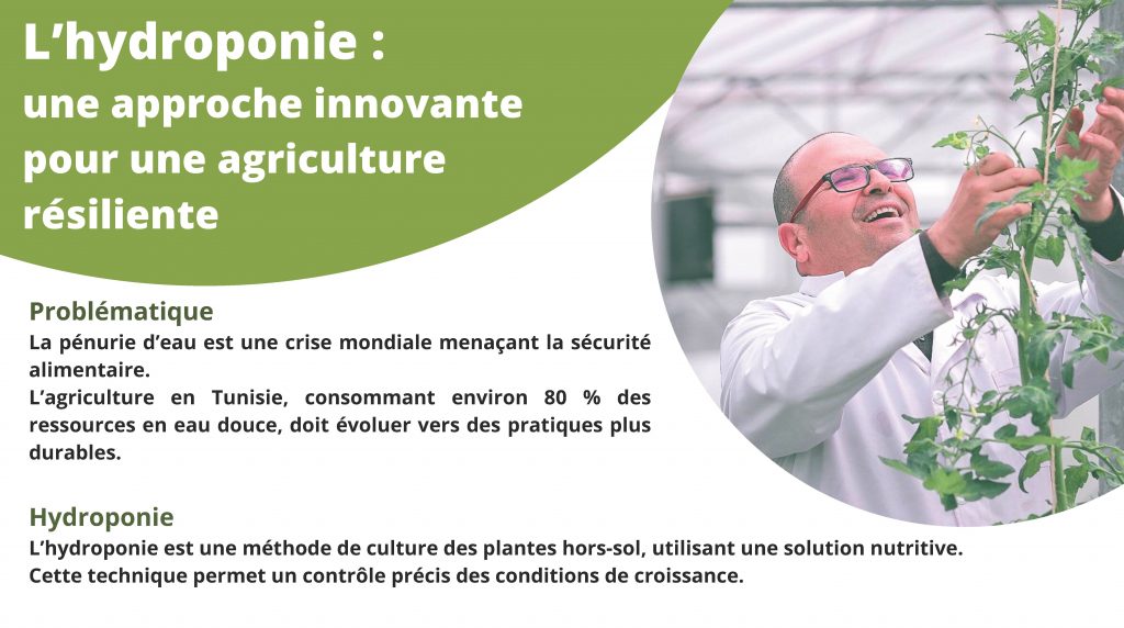 culture hydropnie