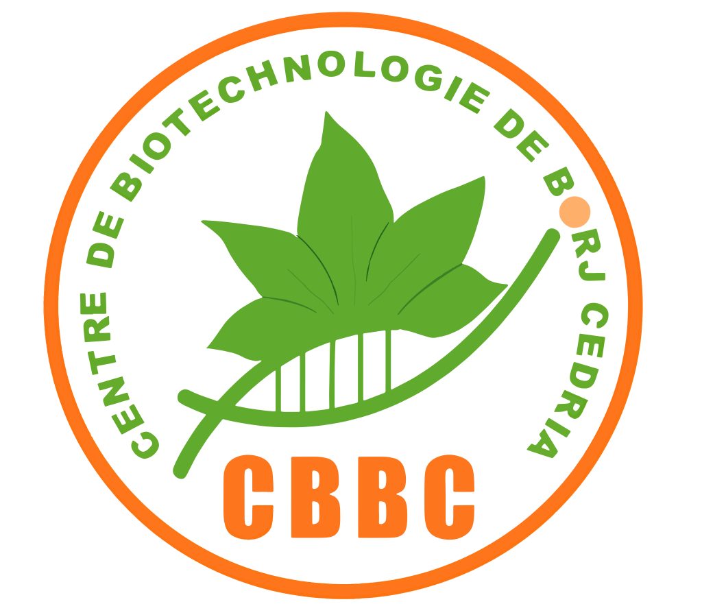 LOGO CBBC