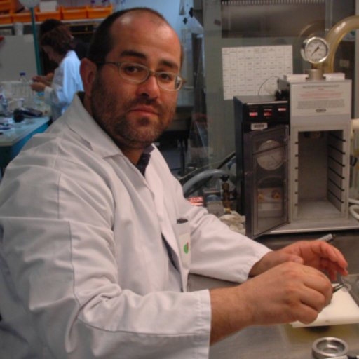 Dr. Mohsen HANANA
