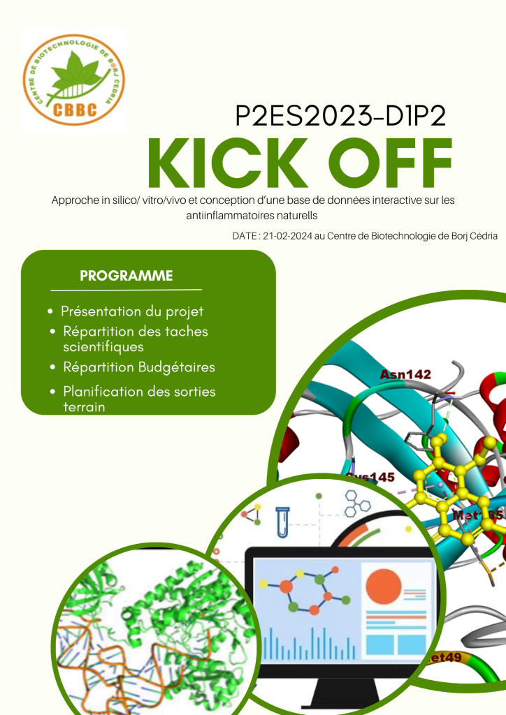 P2ES Kick off