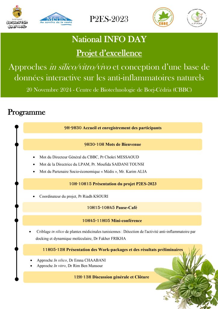 Programme Info day