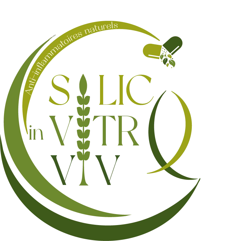 silico vitro vivo