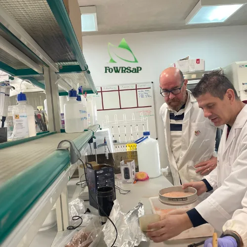 Renforcement de la Collaboration Scientifique au sein de FoWRSaP !