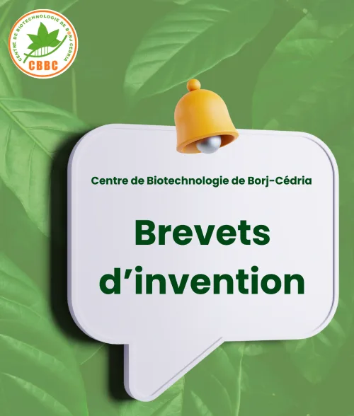 Brevtes2