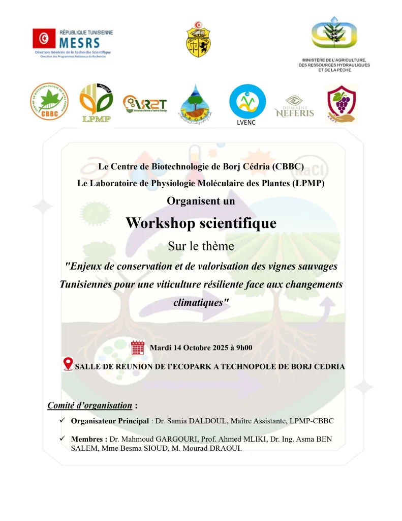 Enjeux de conservation et de valorisation des vignes sauvages tunisiennes pour une viticulture résiliente face aux changements climatiques
