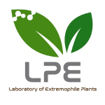 LPE Removebg Preview 150x150
