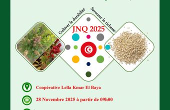 JNQ 2025