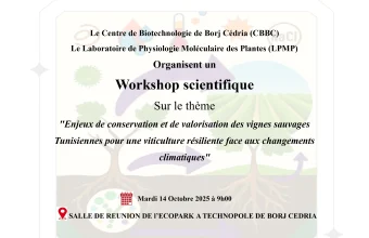 Enjeux de conservation et de valorisation des vignes sauvages tunisiennes pour une viticulture résiliente face aux changements climatiques
