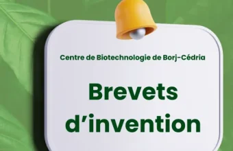 Le CBBC célèbre l’excellence en innovation !