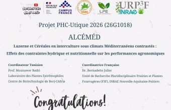 Projet PHC UTIQUE