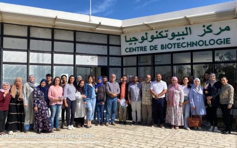 The Tunisian-South African-Algerian Workshop