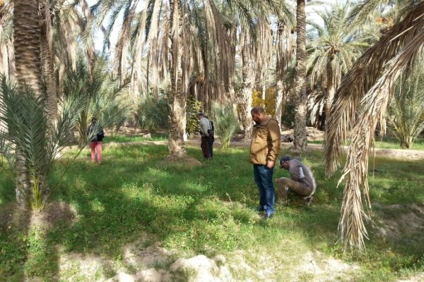 prospecting December 2017