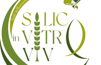 silico vitro vivo